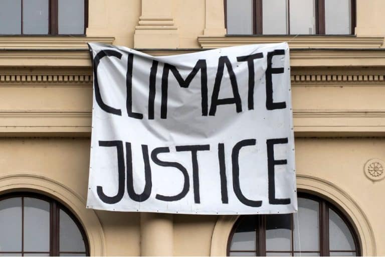 Explainer: Climate Litigation – Trends and Impact | Earth.Org