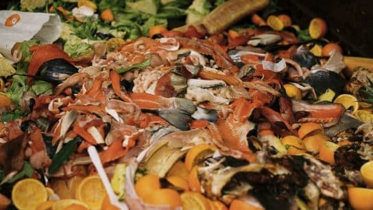 Food waste scraps