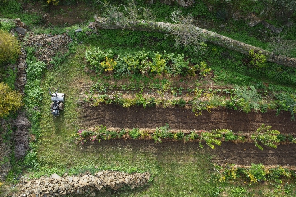 Meet the Team on a Mission to Promote Regenerative Agriculture and Community-Building in Portugal