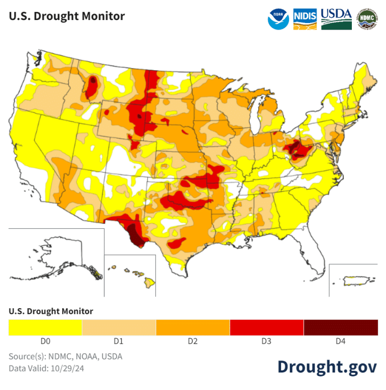 48 US States Affected By Drought in October | Earth.Org