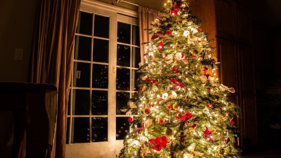 A Christmas tree in a home.