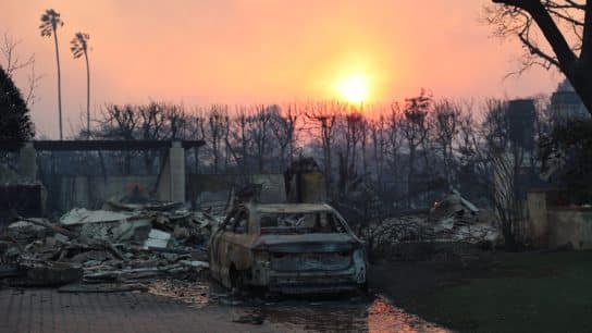 The Palisades Fire, Los Angelas, January 2025.