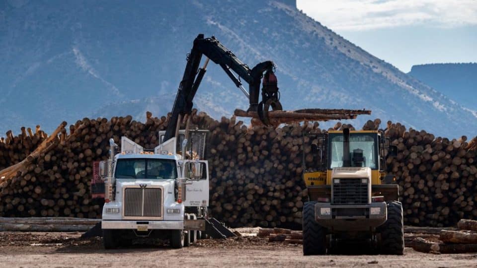 Acceptable loads of timber from restoration sites are offloaded at Walatowa Timber Industries (WTI) mill in 2019.