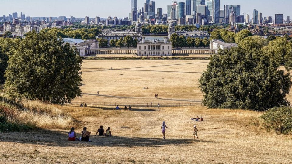 Scorched grass in Greenwich Park, London, England, during a heatwave in August 2022.