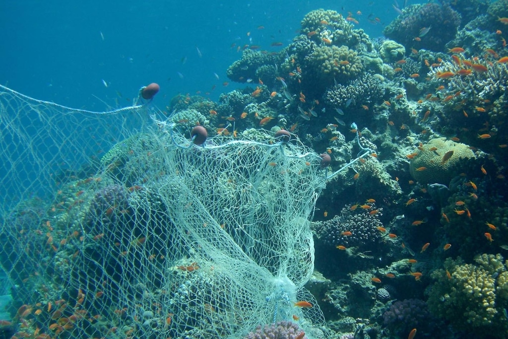A fishing net drags across a coral reef. Not only does bottom trawling destroy on marine environments, but it also turns over marine sediments – the world’s largest carbon sink.