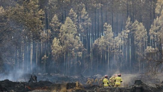 Firefighters across Europe deployed to battle wildfires in France in 2022.