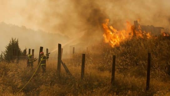 French firefighters, deployed in Spain via the EU Civil Protection Pool, assess the advancing wildfire from the mountainside.