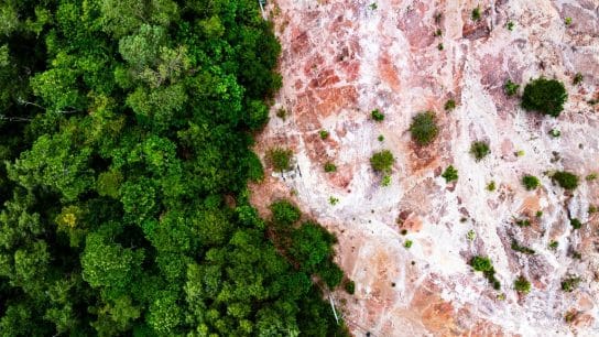 Deforestation and environmental destruction.