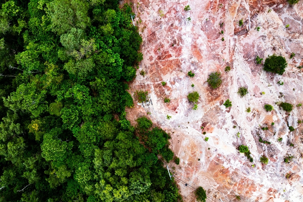 UN Report Finds Harmful Investments Outpace Money for Nature 30 to 1 