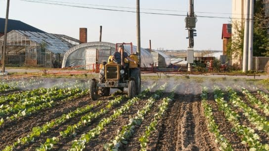 Farmer spraying pesticides.