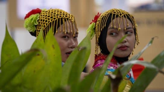 Around the COP30 venue.