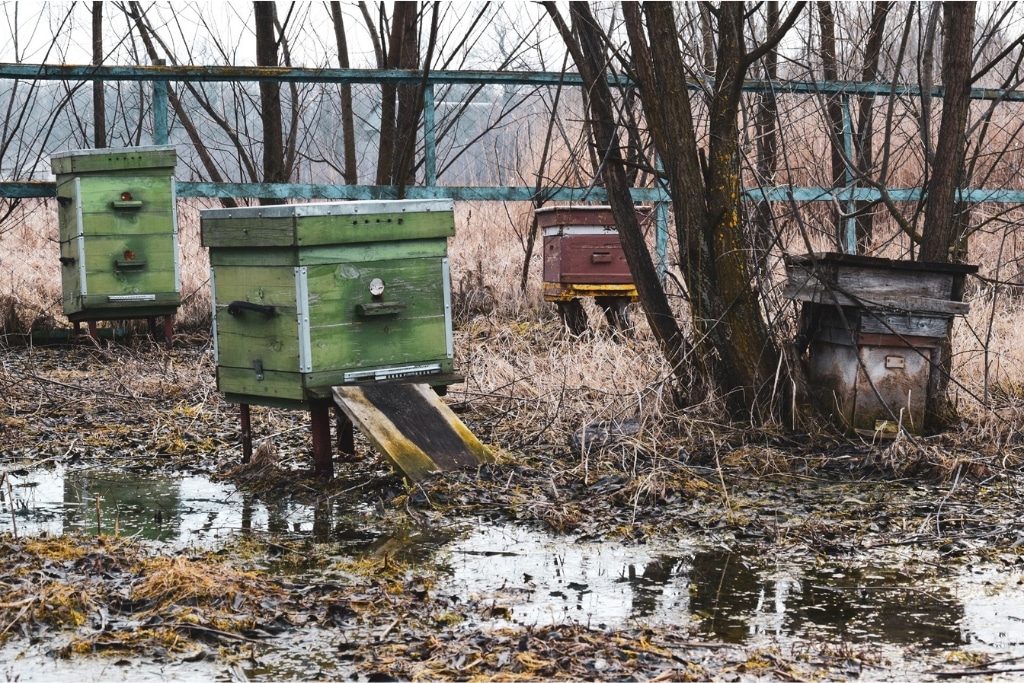 Flooded beehives in California following intense storms during the winter of 2023.