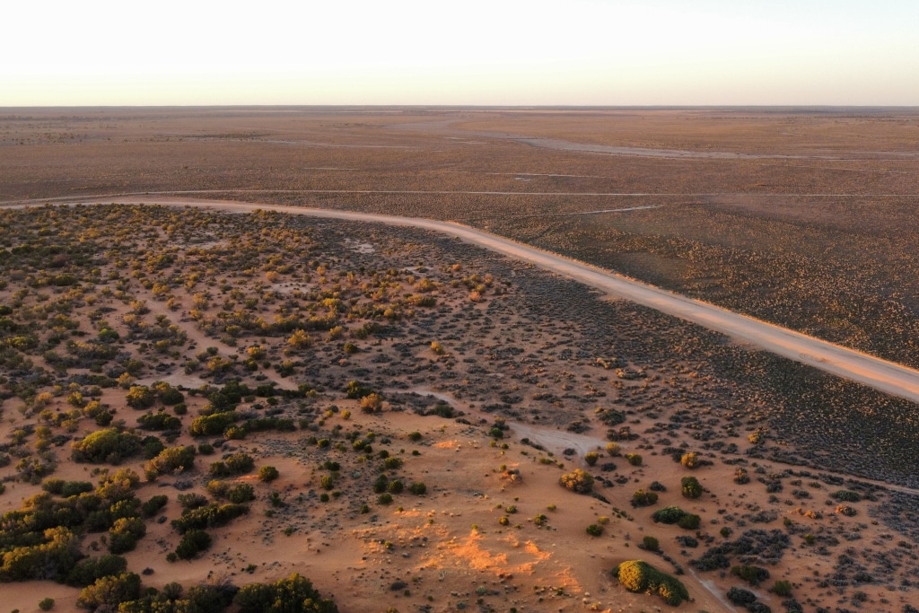 Early January Australian Heatwave Made 5 Times More Likely By Human-Caused Climate Change, Analysis Finds