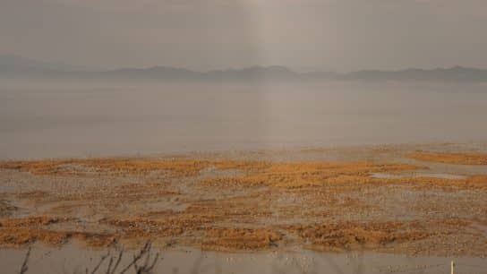 A look over Korea's demilitarized zone (DMZ).