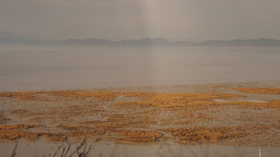 A look over Korea's demilitarized zone (DMZ).