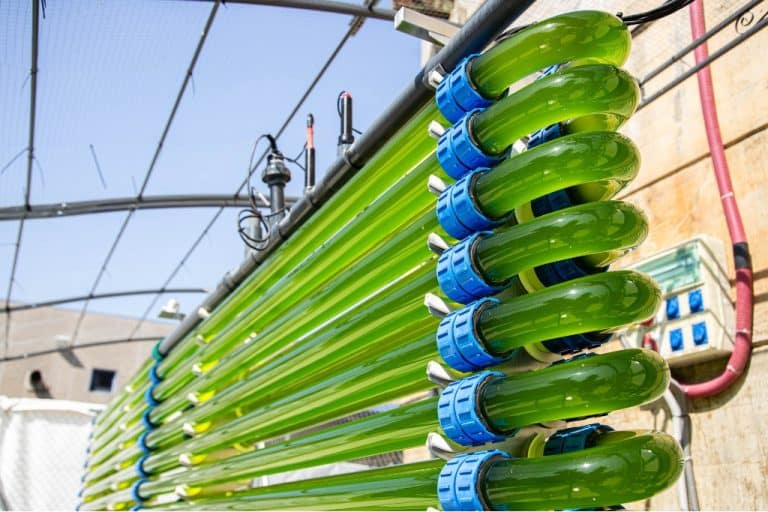 Can We Cut CO2 Emissions By Capturing and Valorizing Them?