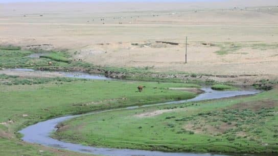 The Mongolian-Manchurian grassland region of the eastern Eurasian Steppe.
