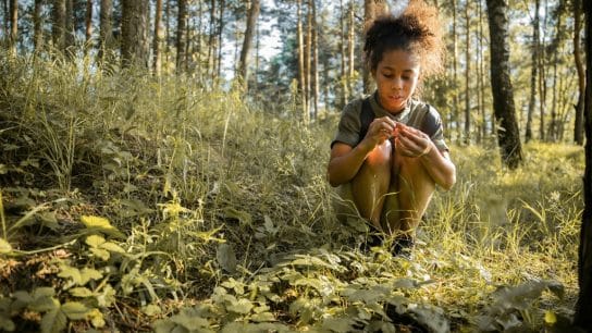 A young girl picking flowers in a forest.