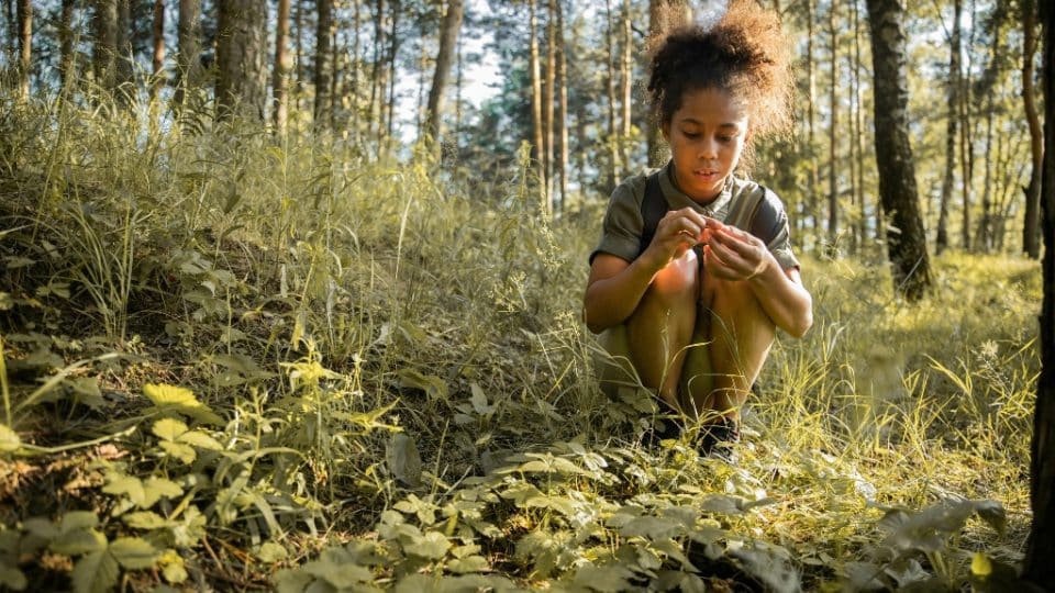 A young girl picking flowers in a forest.