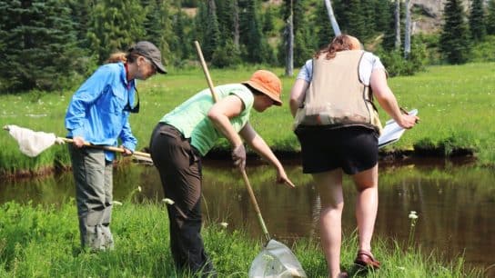 Citizen Science Coordinator and volunteers spot a frog in the pond.