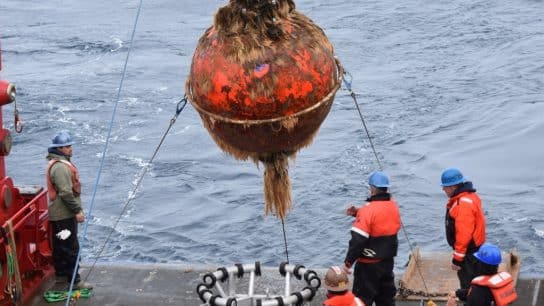 Recovery of flanking mooring sphere after one year in the ocean
