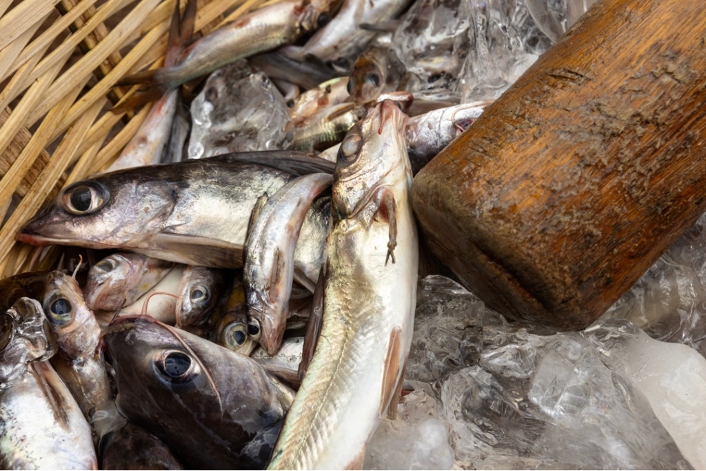 Fish sold at the local market in Ghana's capital Accra.