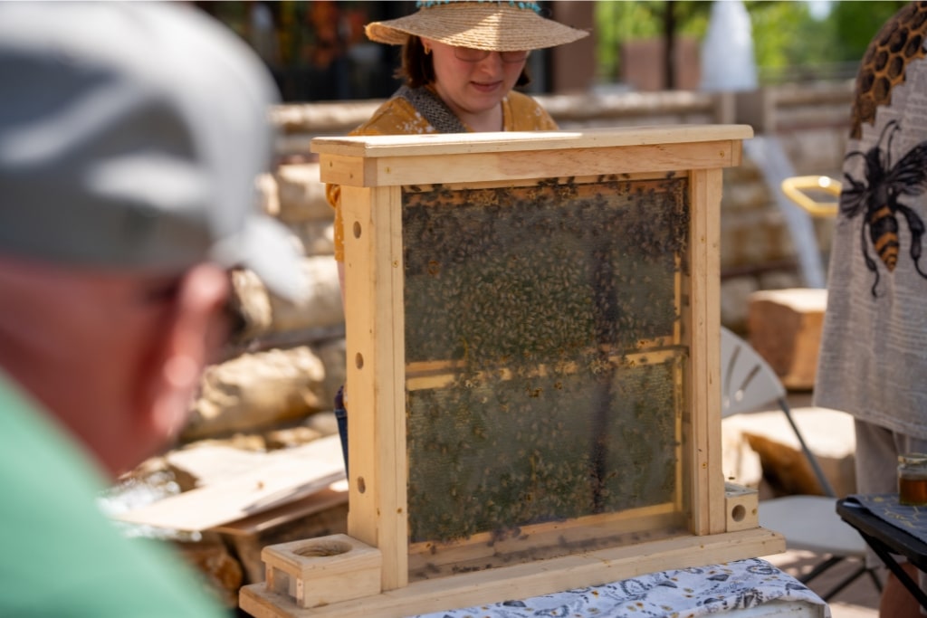 Can Development Reverse Pollinator Decline? Lessons from the World’s First Pollinator District