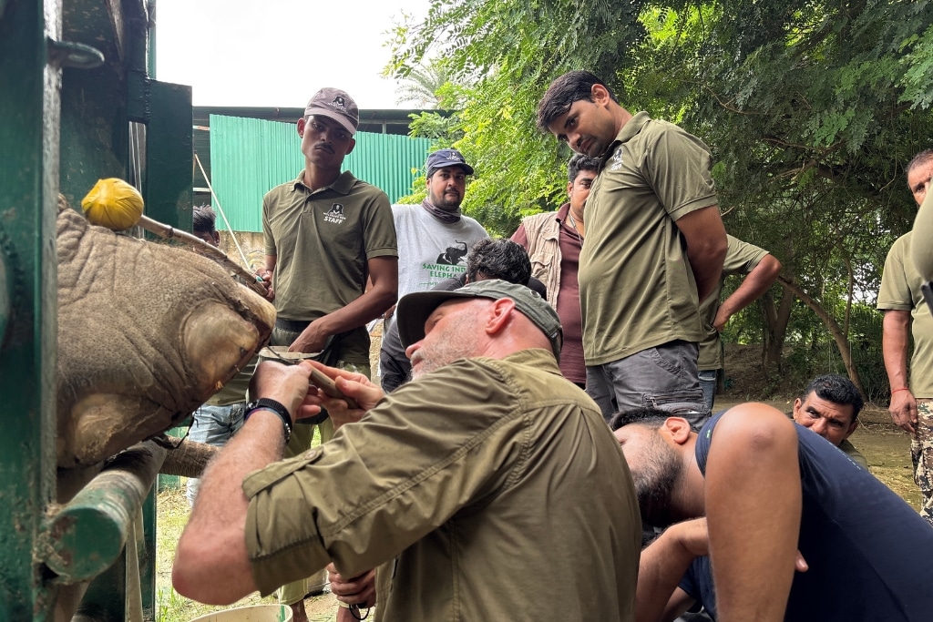 Internationally renowned elephant care specialist Mike McClure provides hands-on foot care training alongside Wildlife SOS veterinarians and caregivers at the Elephant Conservation and Care Centre in India.
