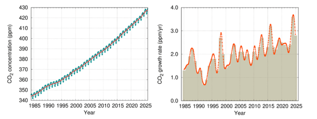 Globally averaged CO2 concentration (left) and its growth rate (right) from 1984 to 2025. Increases in successive annual means are shown as the shaded columns in (right). The red line (left) is the monthly mean with the seasonal variation removed; the blue dots and blue line (left) depict the monthly averages. Observations from 179 stations were used for this analysis.